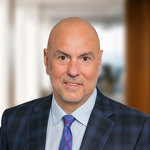 Professional headshot of Joe Pellegrini.