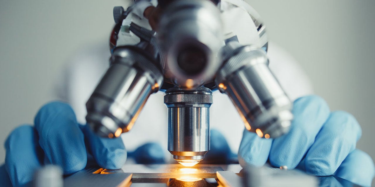 Hands wearing blue rubber gloves operating a microscope.
